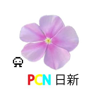 PCN日新